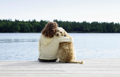 ADUC - Articolo - La vita interiore dei cani: cosa pensano di amore,  lussuria e risate