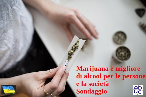 Basta fumare la cannabis, semmai mangiatela (è un business enorme